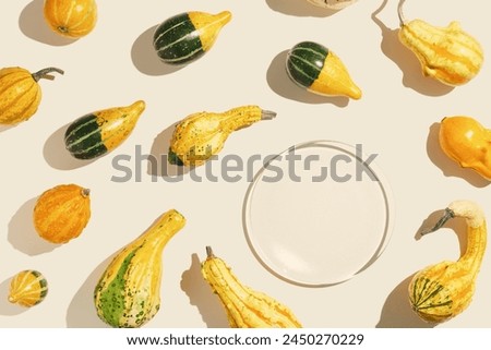 Assorted Mini Pumpkins as creative pattern, sunlight shadow, colorful selection of mini pumpkins and gourds, fall season still life photo, autumn aesthetic minimal style top view, empty glass plate