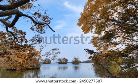 Autumn view of lake in Onuma Quasi National Park, Hokkaido, Japan