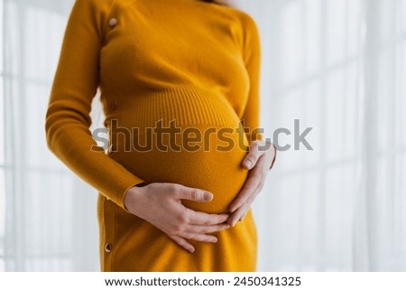 Pregnancy motherhood people expectation future. Pregnant woman hands touching big belly near window at home. Girl hugging her tummy enjoying pregnancy. Maternity tenderness parenthood new life concept Royalty-Free Stock Photo #2450341325
