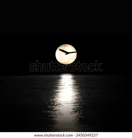 Picture of a beautiful moon 