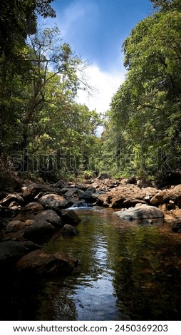 River through the woods in Sri Lanka