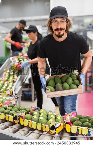 Ordinary man with crate of fresh avocado at avocado factory Royalty-Free Stock Photo #2450383945