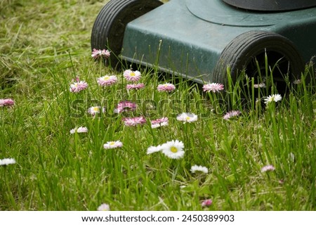 Seasons and yard maintenance concept with lawn mower and dainty white and pink spring flowers in a green garden lawn Royalty-Free Stock Photo #2450389903