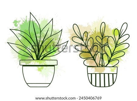 Vector set of contour various plants in pots clip arts with green watercolor splashes. Collection of outline flowers in vases for home decoration. Natural design elements for stickers, icons, articles