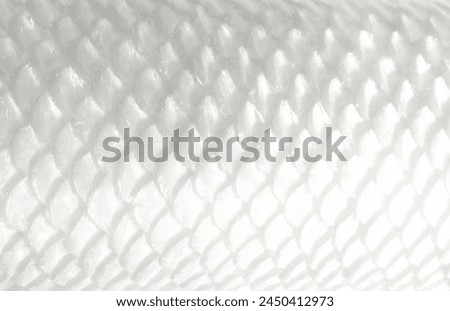 Fish scale, snake skin texture background. Scaly dragon background. Abstract pattern of fish scale scallop. Mermaid scales silver white grey