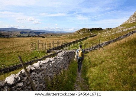 Walker on a Public Footpath near Langcliffe in Ribblesdale, Yorkshire, England, United Kingdom, Europe Royalty-Free Stock Photo #2450416711
