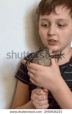 Boy holding a big toad in his hands. High quality photo