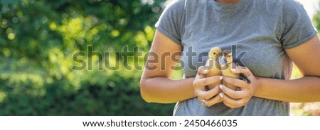 a female farmer holds ducklings in her hands