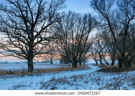 Winter in North Germany paints a serene picture: snow blankets the landscape, trees stand bare against the frosty air, and frozen rivers meander through the countryside, creating a tranquil scene.