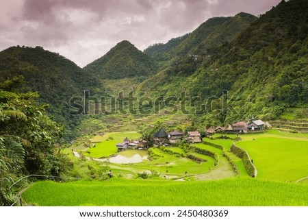 Rice Terraces, Bangaan, UNESCO World Heritage Site, Luzon, Philippines, Southeast Asia, Asia Royalty-Free Stock Photo #2450480369
