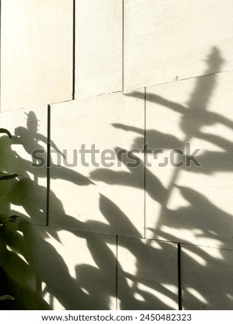 Tropical flower and leaf shadow in the afternoon sun on sand or beige colored stone background.