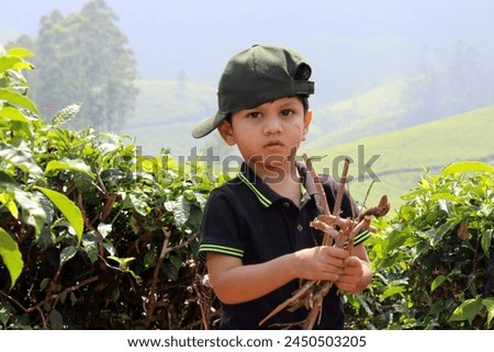 A small kid is collecting the wooden threads as an activities on the fields of the tea gander. He is holding dry wooden sticks to be used for playing. Child on the vacation at Munnar, Kerala, India Royalty-Free Stock Photo #2450503205