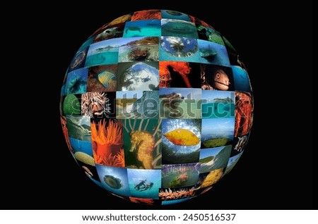 the planet of underwater photography
