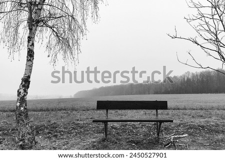 Lonely bench in the landscape, in the foreground are two trees with bare branches and field, in the background is a forest and foggy heaven, outside, black and white photo