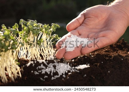 Man fertilizing soil with growing young microgreens outdoors, closeup Royalty-Free Stock Photo #2450548273