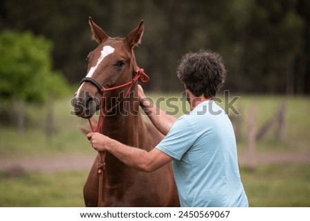 amazing stallions and mears of great razes Royalty-Free Stock Photo #2450569067