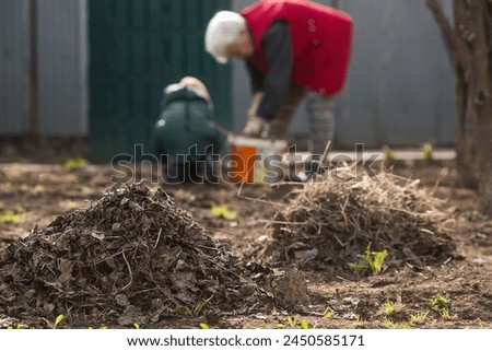 Clean-up day in early spring. Piles of old leaves in the foreground are in focus. A woman and a child are doing general cleaning in the garden in the background. People clean the lawn of dry leaves.