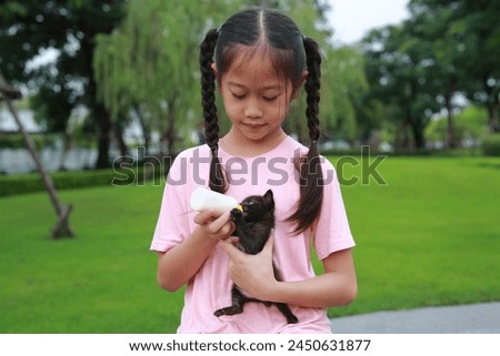 Kitten with feeding by girl child. Focus at small cat.
