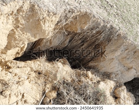 
Dry land sunken, cracked earth tells a tale of parched fields and thirsting soil, a haunting reminder of nature's struggle under the relentless sun. Royalty-Free Stock Photo #2450641935