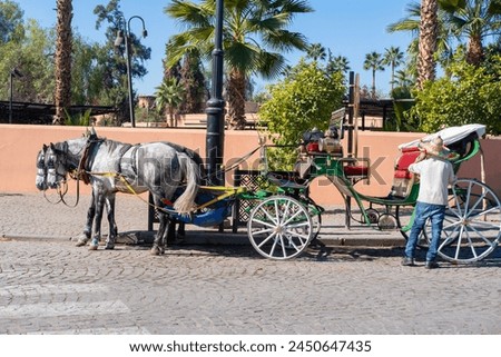 Tourists and locals ride in horse-drawn carriages through vibrant streets Marrakech, authentic and lively city life African kingdom Morocco, Authentic experience Royalty-Free Stock Photo #2450647435