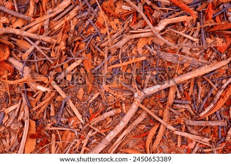 
Bird's-eye view of dry branches