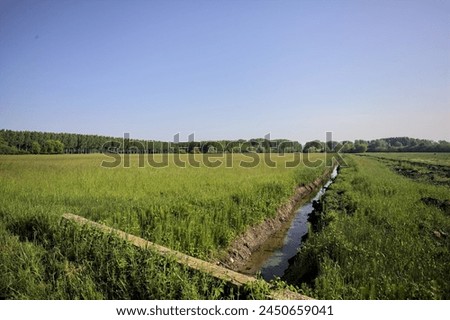 Trench with water in the middle of cultivated fields in the italian countryside on a sunny day