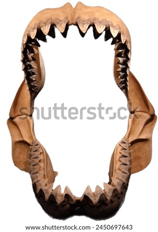 Carcharodon megalodon, commonly known as megalodon, is a prehistoric shark species that existed millions of years ago. It is often referred to as one of the largest and most formidable predators to ha Royalty-Free Stock Photo #2450697643