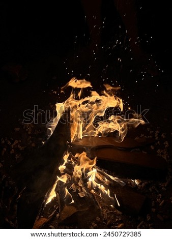 It's a picture where the woods are being burnt in lohri festival 