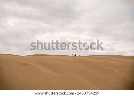 Desert landscape
iran maranjab desert