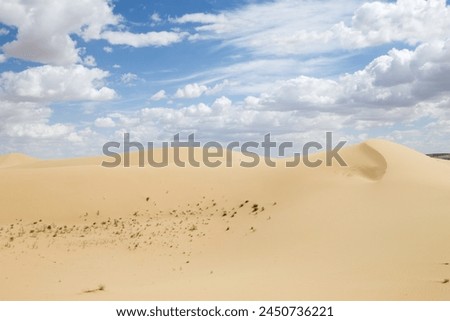 Tuyesu dunes landscape, Senek, Mangystau region, Kazakhstan. Desert landscape Royalty-Free Stock Photo #2450736221