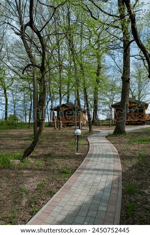Photo of a wooden house in a green forest. Pros and cons of the concept of a wooden house and suburban real estate.