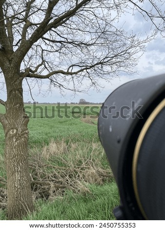 View of a Nature photographer at work: Tree and field. No Animals.