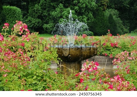 Fountain Surrounded by Pink Blooming Flowers in Garden