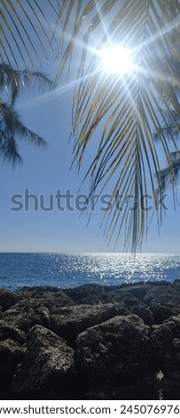 Sun Tropical Carribean Paradise Coast