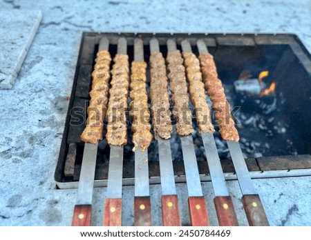 The Ultimate Delicious Kebob Barbecue with Skewers