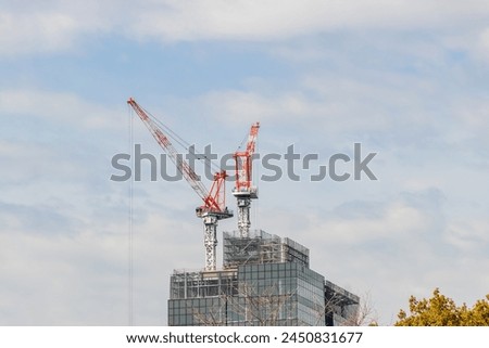 Construction crane on the background of the white sky, Construction site.