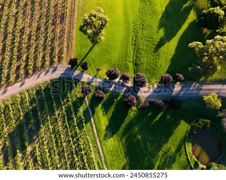 Aerial Photo of Vineyards in the Hunter Valley, NSW Australia