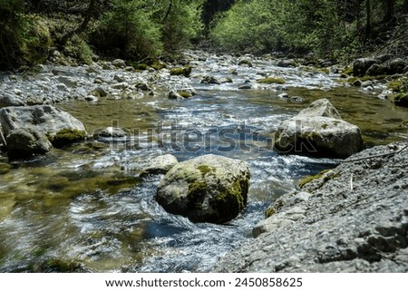 Trockenbach, a mountain stream flowing through the Trockenbach valley in Tyrol, Austria
