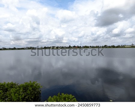 This picture shows a view of a black swamp and blue sky