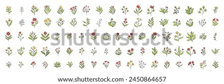 Big set of flower colored outline isolated on transparent background. Hand drawn vector art.