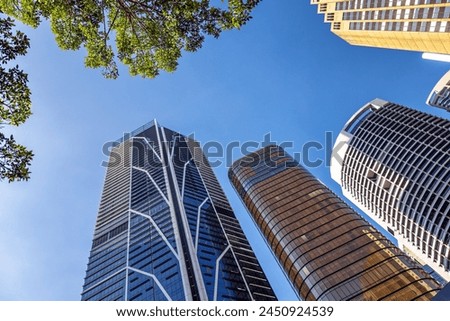 Highrise modern architecture in Sydney, New South Wales, Australia. Blue sky background and framed by tree branches