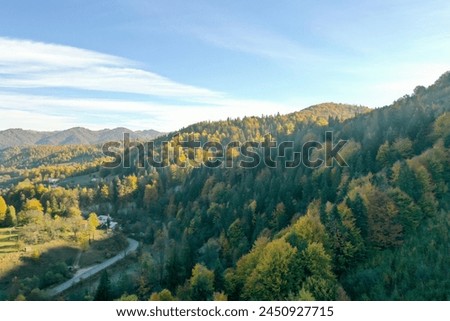 Aerial view of beautiful mountain forest with road on autumn day