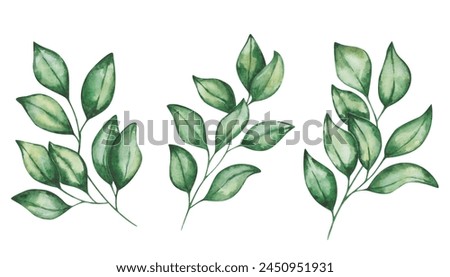 Watercolor set of illustrations. Hand painted branches with green leaves. Tender branches. Tree, plant, bush, grass. Lush foliage. Summer, spring nature. Botanical elements. Isolated floral clip art