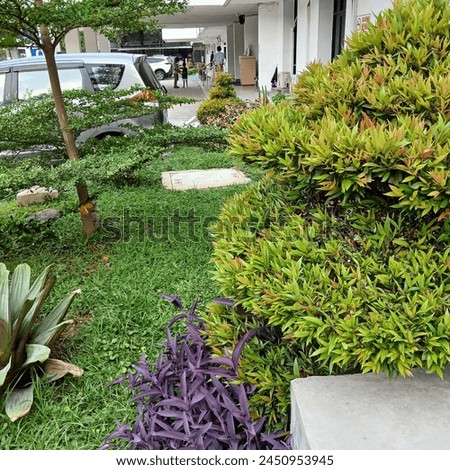 The garden area of ​​a hospital is covered with several ornamental plants and green grass