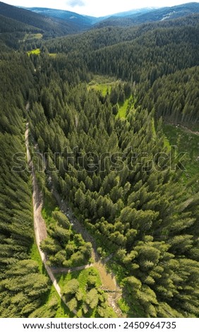 Vertical drone view above Sadu valley. Sadu river flowing along wild coniferous forests through green pastures. Cindrel mountain peaks are raising impetuous to the clouded sky. Carpathia, Romania Royalty-Free Stock Photo #2450964735