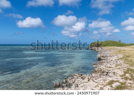 Aruba coastline looking north at Mangle Halto Royalty-Free Stock Photo #2450971907
