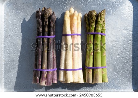 Purple, white and green asparagus sprouts on metal board closeup. Top view flat lay. Food photography