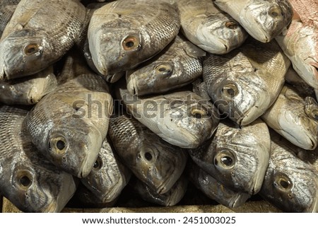 photo of the head of white snapper fish being sold at a traditional fish market