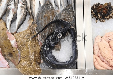 Black scabbard at fish store in Mercado do Bolhao traditional fish market of Porto, Portugal. The fish is also known as black scabbardfish or espada. Royalty-Free Stock Photo #2451033119
