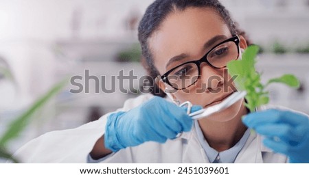 Woman, scientist and research in lab with plant for botany or horticulture study for pharmaceutical analysis. Female doctor, scissors and cut flora for experiment or innovation, observation and test.
